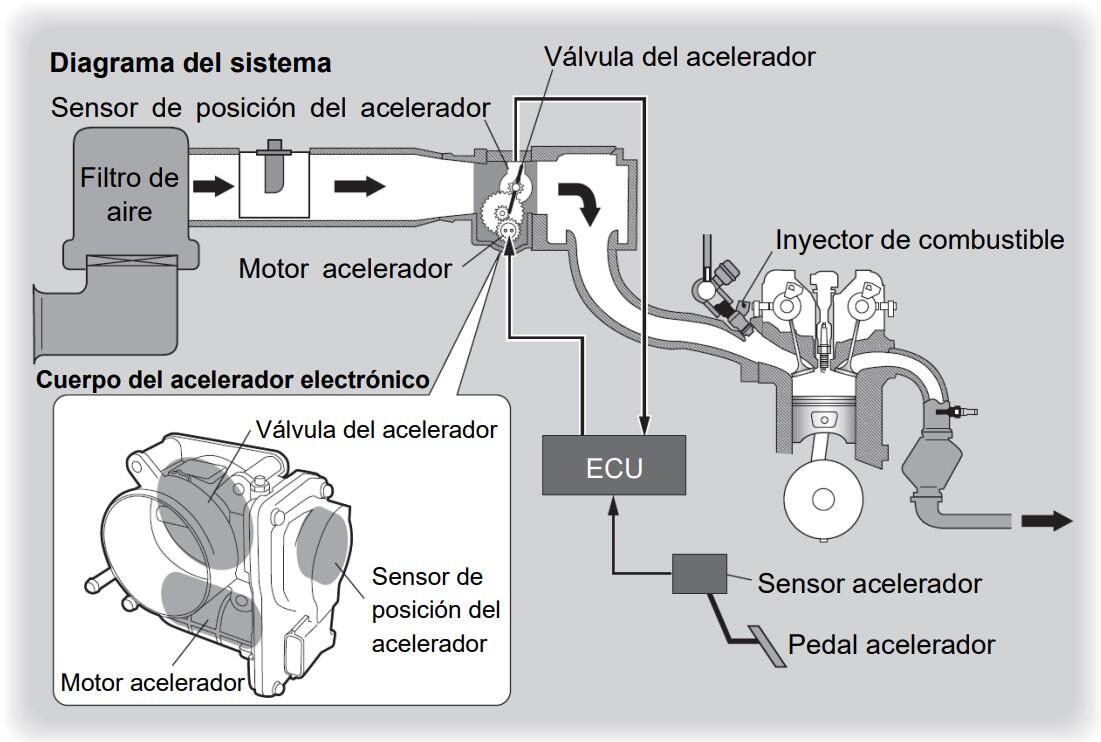 ¿Qué es un Cuerpo de Acelerador Electrónico?