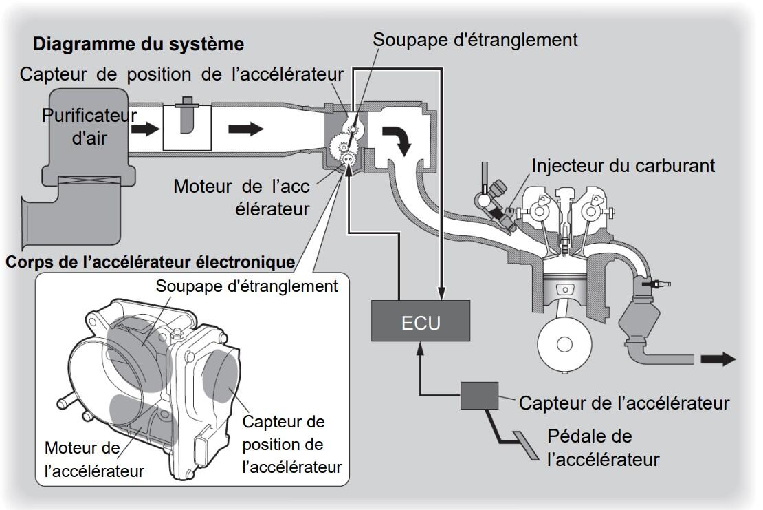 Qu'est-ce qu'un Corps d'Accélérateur Électronique?