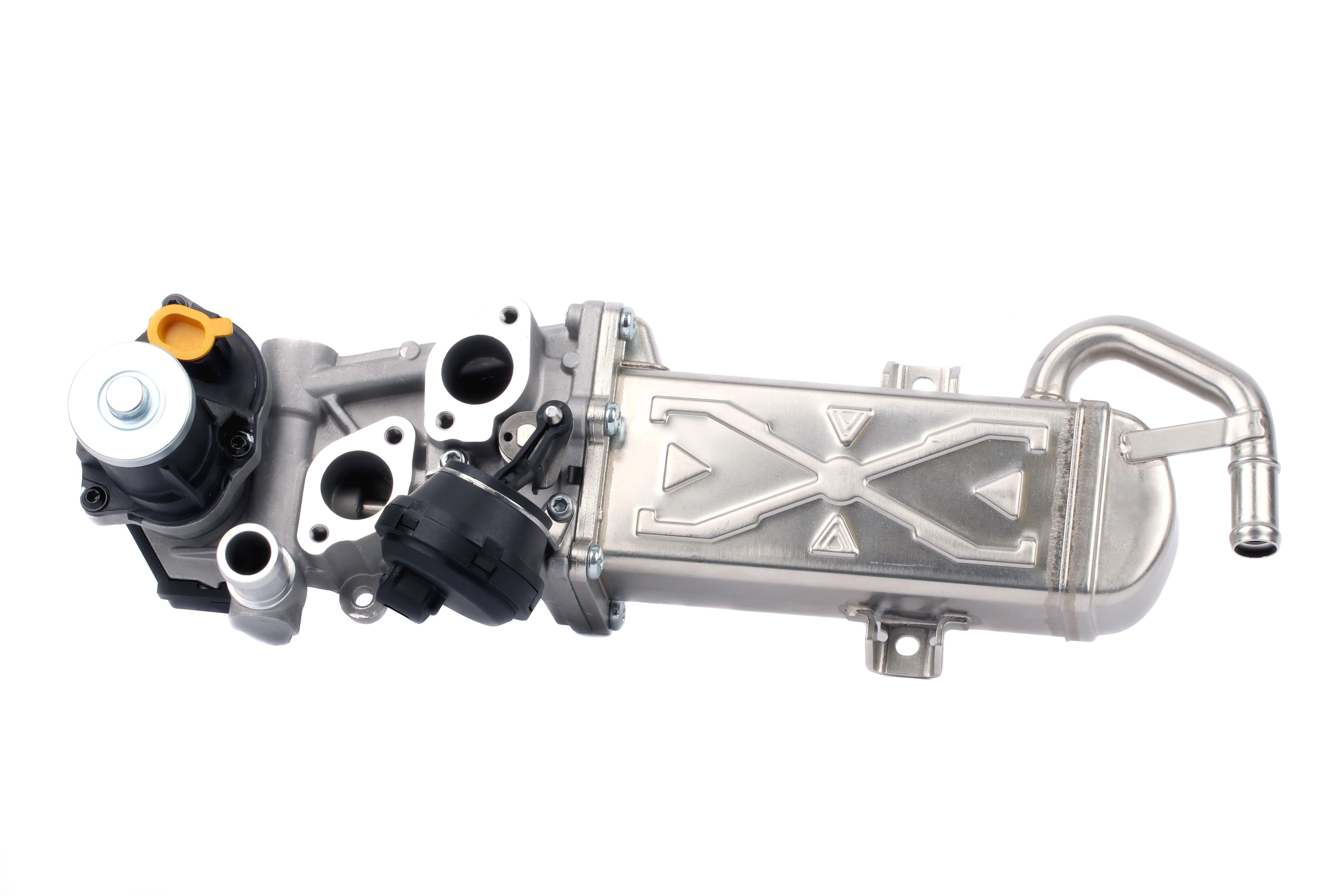 Exhaust Gas System