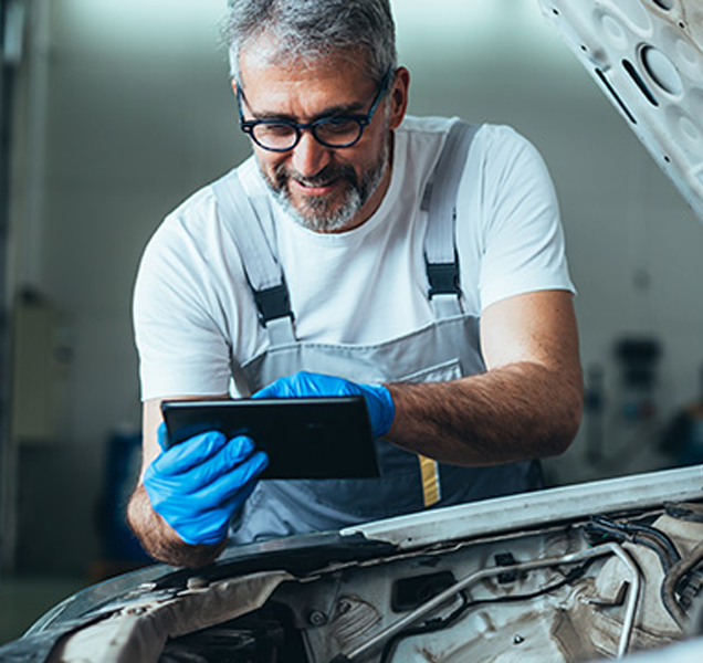 Apoyo Técnico