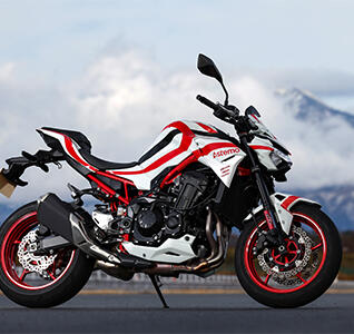 New Product - Suspension Kit for Z900