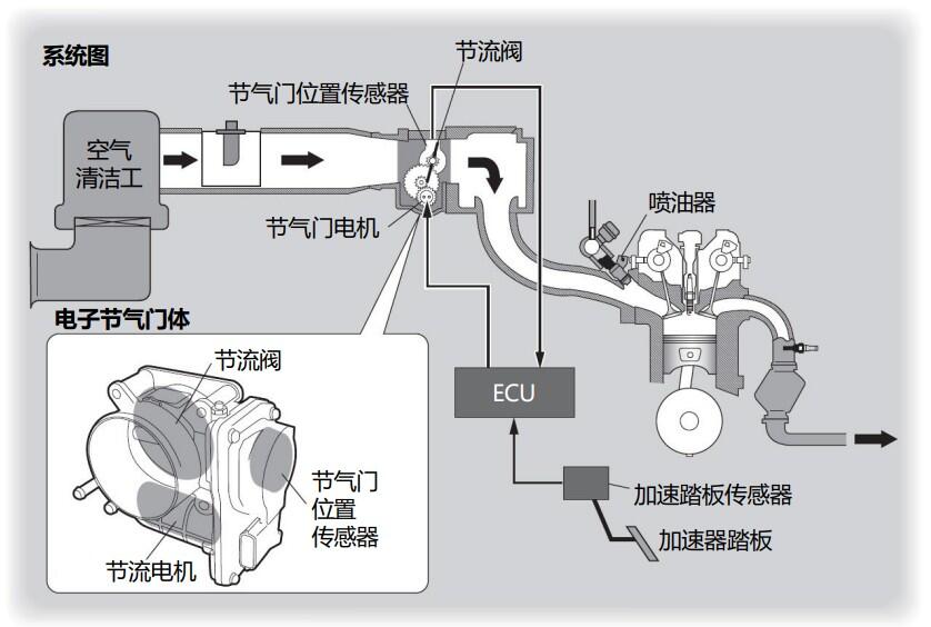 什么是电子节气门体？